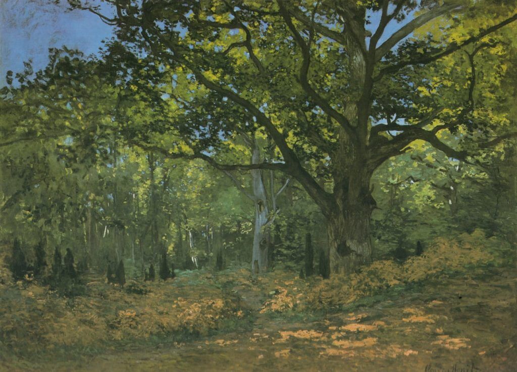 Monet, Claude (1840-1926) – Bodmer Oak at Bas-Breau 1865