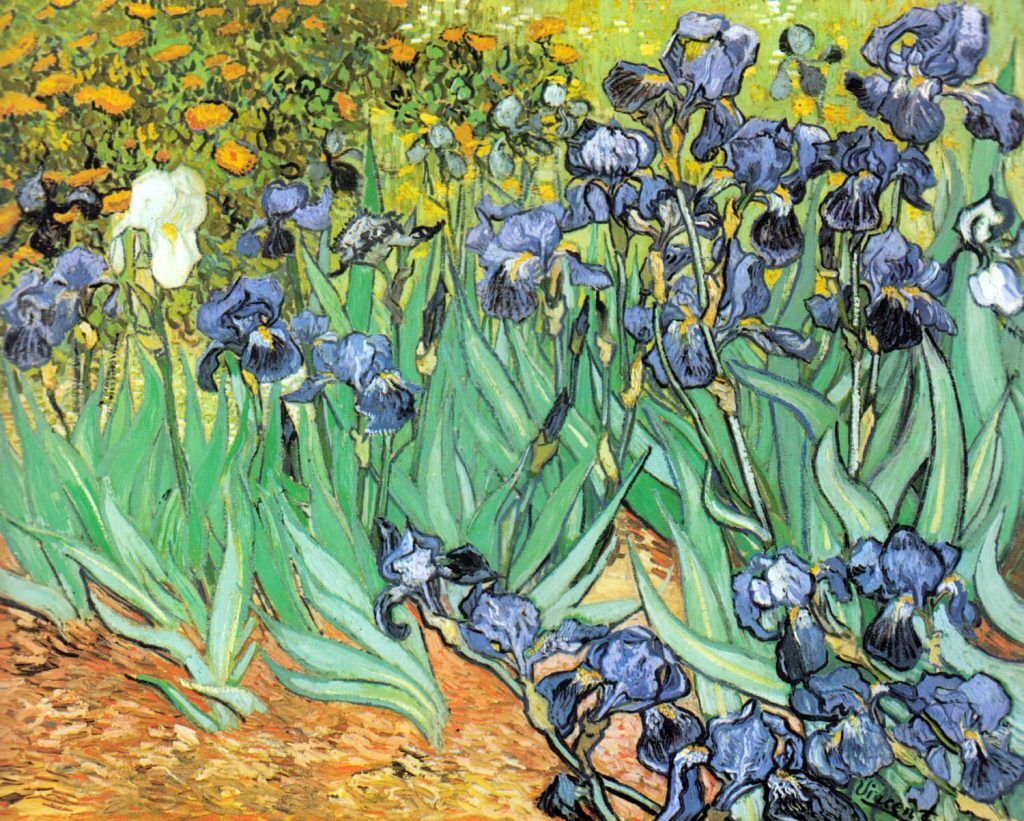 Van Gogh, V. (1853-1890) – Irises 1889